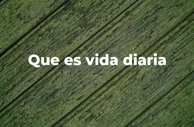 Que es Vida Diaria