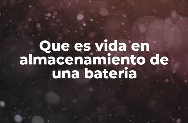 Que es Vida en Almacenamiento de una Bateria