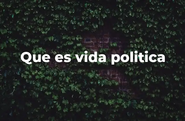 Que es Vida Politica
