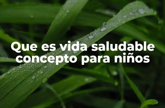 Que es Vida Saludable Concepto para Niños