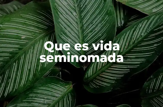 Que es Vida Seminomada
