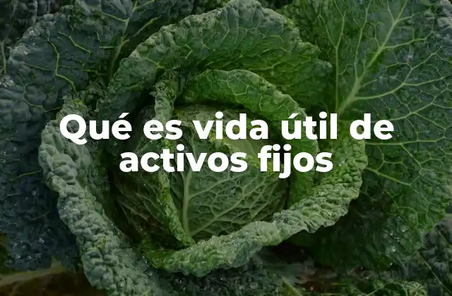 Qué es Vida Útil de Activos Fijos