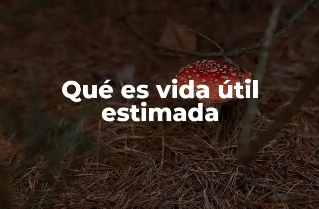 Qué es Vida Útil Estimada