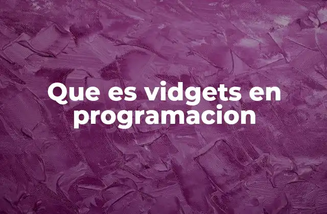 Que es Vidgets en Programacion