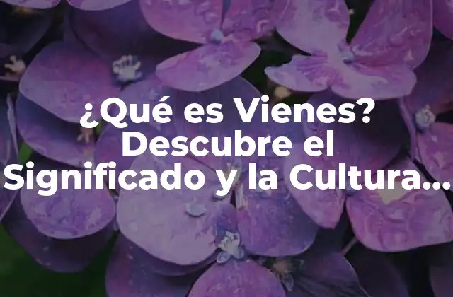 ¿qué es Vienes? Descubre el Significado y la Cultura Detrás de Esta Ciudad Europea