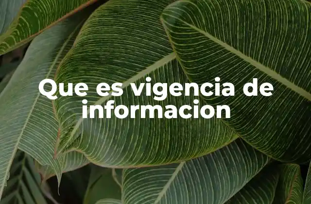 Cómo identificar información vigente sin mencionar directamente el término
