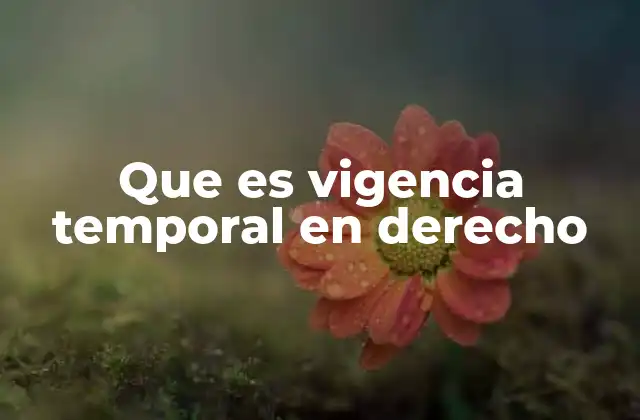 Que es Vigencia Temporal en Derecho
