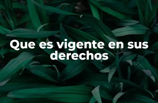 Que es Vigente en Sus Derechos