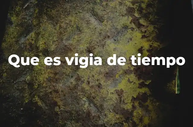 Que es Vigia de Tiempo