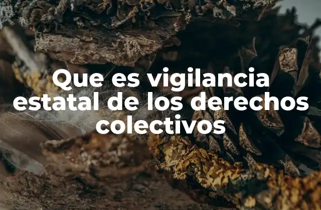Que es Vigilancia Estatal de los Derechos Colectivos