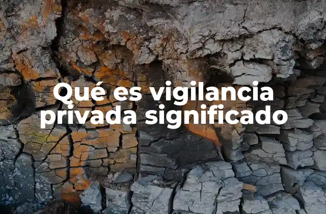 Qué es Vigilancia Privada Significado 2 Aplicaciones de la vigilancia privada en la vida cotidiana
