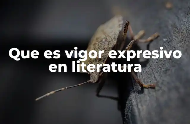 Que es Vigor Expresivo en Literatura
