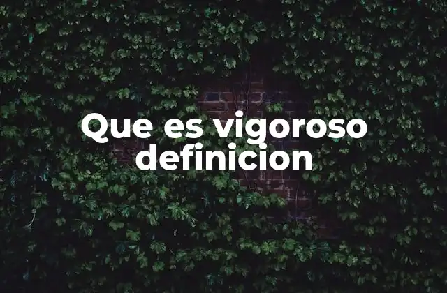 Que es Vigoroso Definicion
