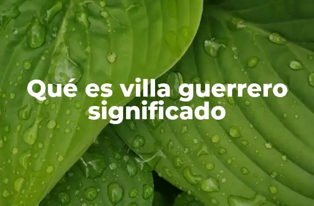 Qué es Villa Guerrero Significado