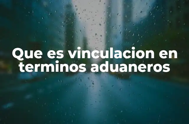 Que es Vinculacion en Terminos Aduaneros