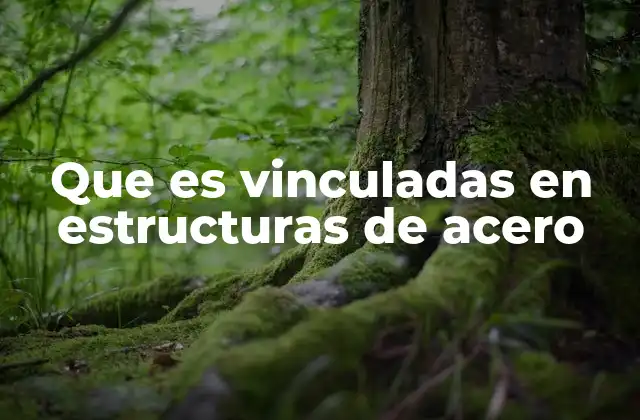 Que es Vinculadas en Estructuras de Acero