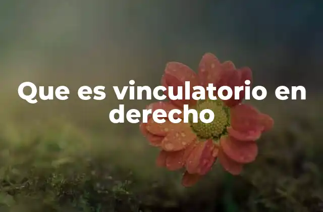 Que es Vinculatorio en Derecho