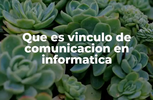 La importancia de los enlaces en la conectividad informática
