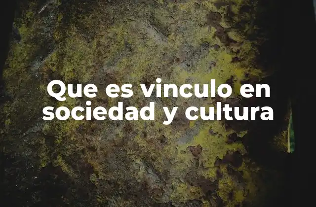Que es Vinculo en Sociedad y Cultura