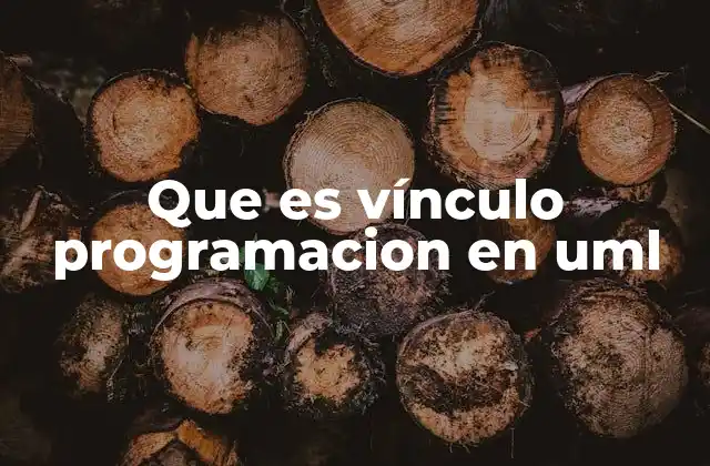 Que es Vínculo Programacion en Uml
