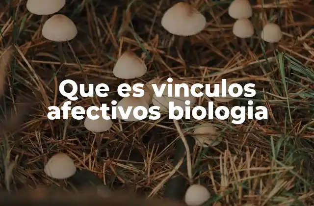 Que es Vinculos Afectivos Biologia