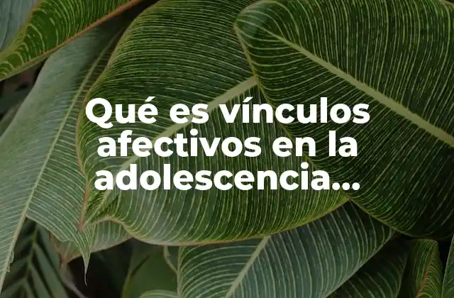 Qué es Vínculos Afectivos en la Adolescencia Psicología