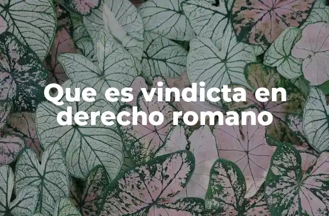 Que es Vindicta en Derecho Romano 2 El lugar de la vindicta en el sistema legal romano