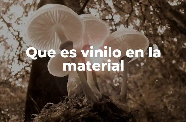 El vinilo como alternativa a otros materiales
