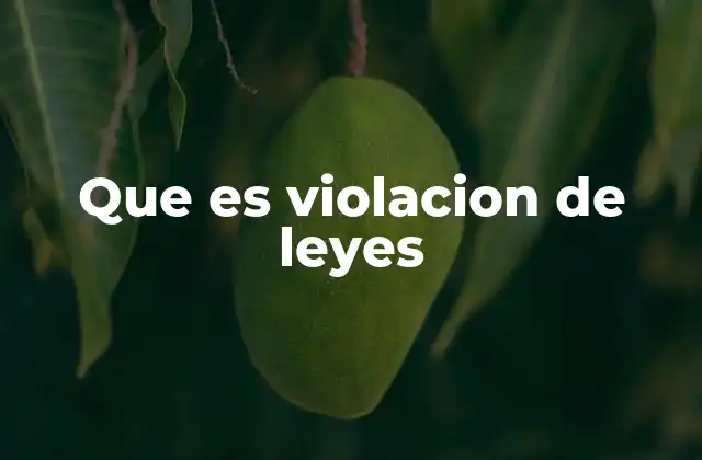 Que es Violacion de Leyes