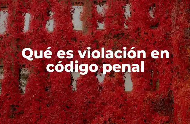 Qué es Violación en Código Penal