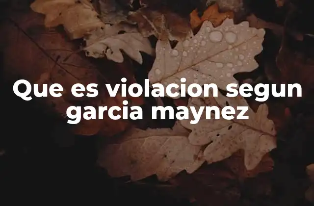 Que es Violacion Segun Garcia Maynez