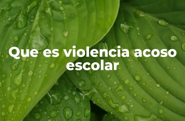 Que es Violencia Acoso Escolar