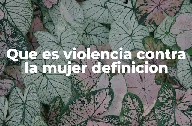 La violencia contra la mujer como un problema de derechos humanos