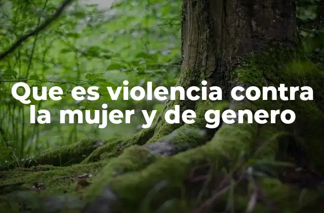 La violencia de género como una manifestación de desigualdad