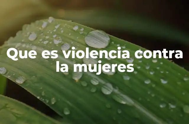 Que es Violencia contra la Mujeres