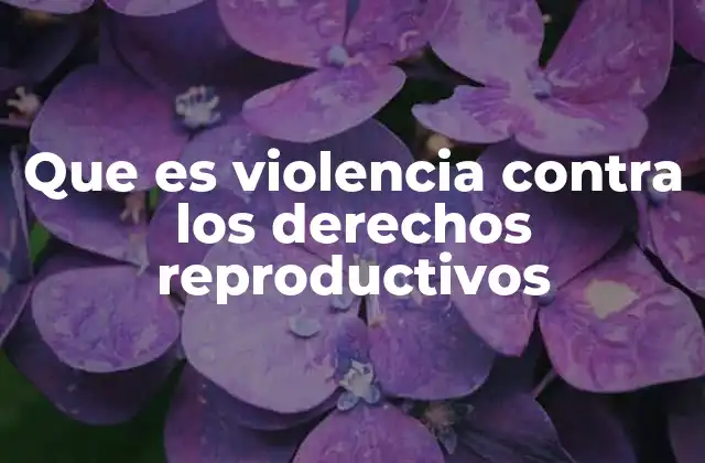 Que es Violencia contra los Derechos Reproductivos