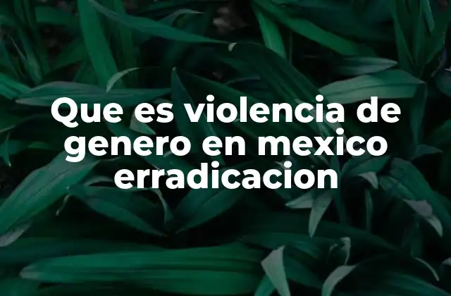 La importancia de erradicar la violencia de género en el contexto social y político