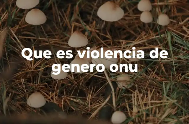 Que es Violencia de Genero Onu