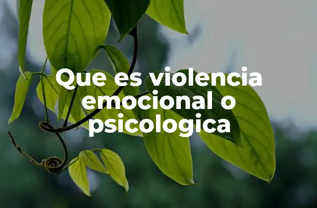 Que es Violencia Emocional o Psicologica