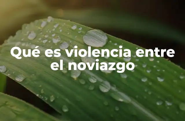 Qué es Violencia entre el Noviazgo