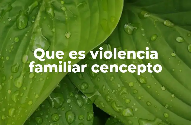Que es Violencia Familiar Cencepto