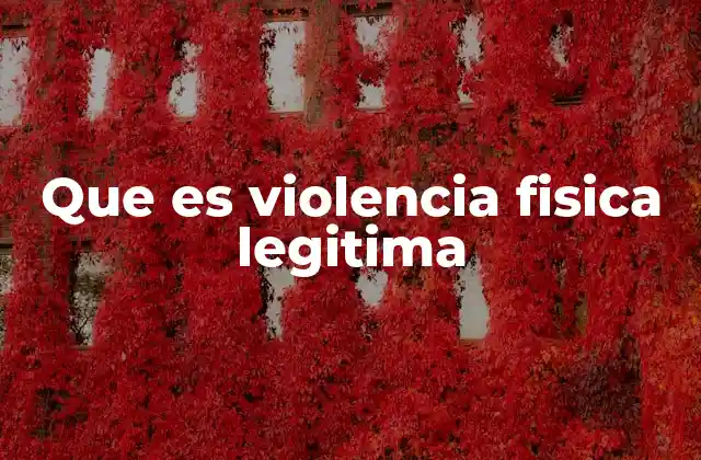 Que es Violencia Fisica Legitima