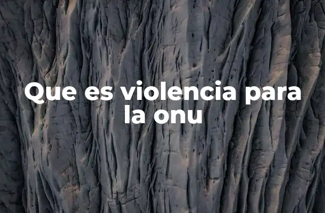 Que es Violencia para la Onu