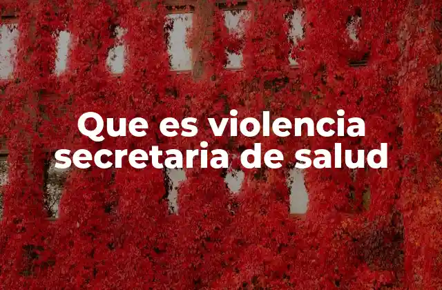 Que es Violencia Secretaria de Salud