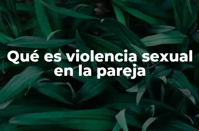 Qué es Violencia Sexual en la Pareja