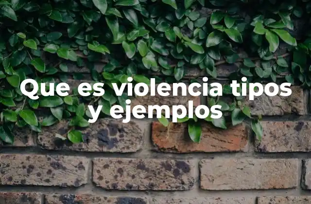 Que es Violencia Tipos y Ejemplos