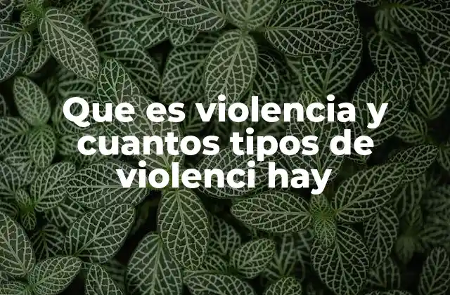 Que es Violencia y Cuantos Tipos de Violenci Hay