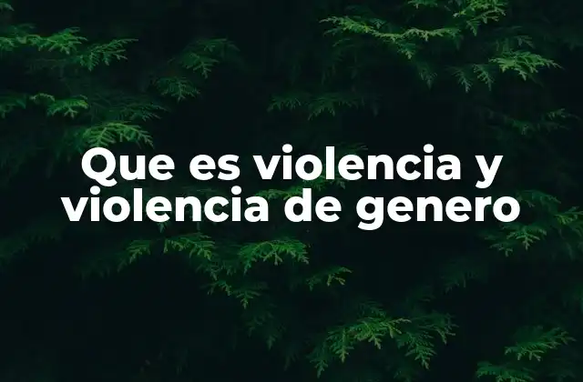 Que es Violencia y Violencia de Genero