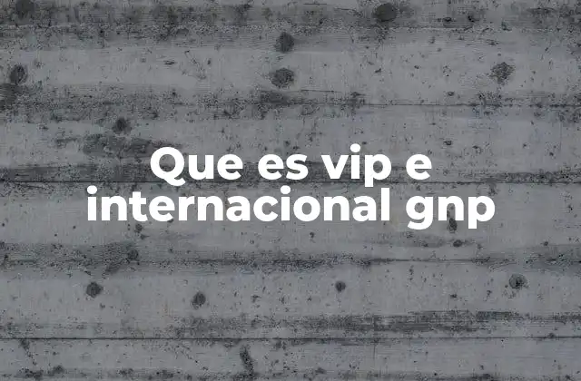 Que es Vip e Internacional Gnp