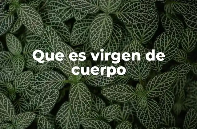 Que es Virgen de Cuerpo